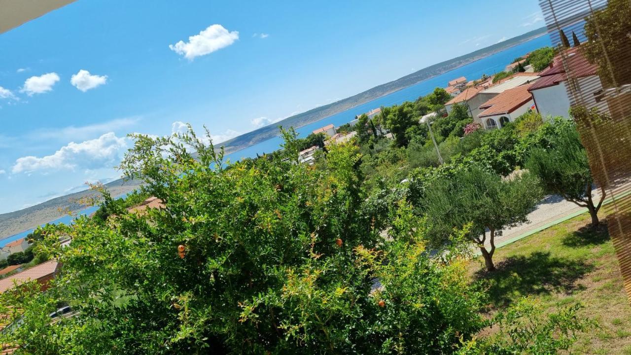 Arts Room Jasmina With Sea View Bikers And Pets Are Welcome Starigrad Paklenica Exterior foto